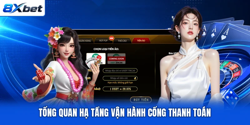 Tổng quan hạ tầng vận hành cổng thanh toán Tổng quan hạ tầng vận hành cổng thanh toán